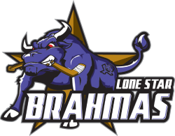 lsbrahmas team